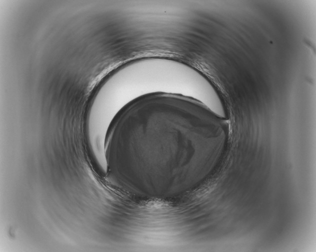 X0000102410348200808291513