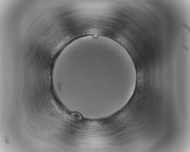 X0000102410349200808291513