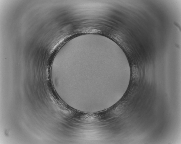 X0000102410351200808291513