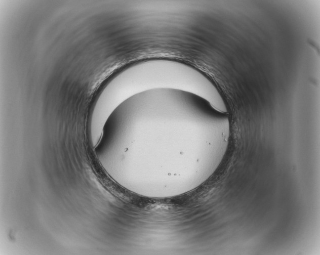 X0000102410352200808291513