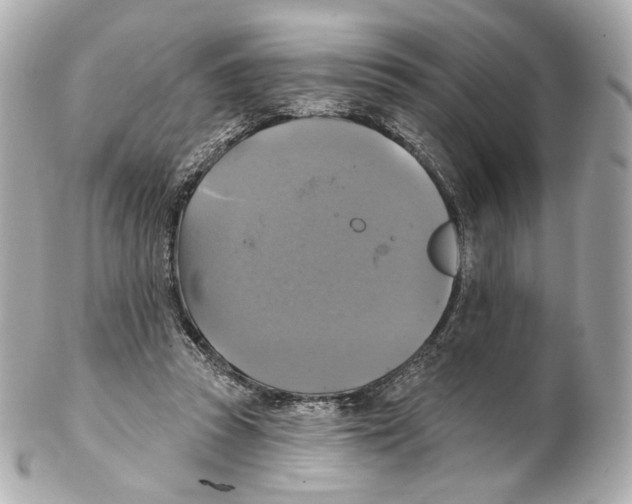 X0000102410353200808291513