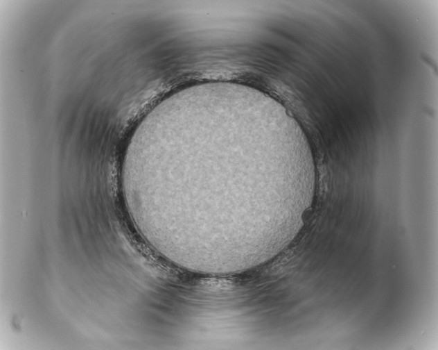 X0000102410354200808291513