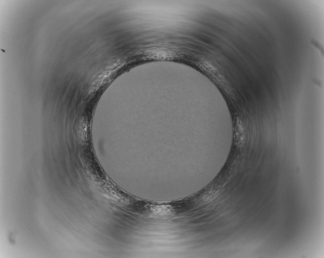 X0000102410355200808291513