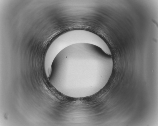 X0000102410356200808291513