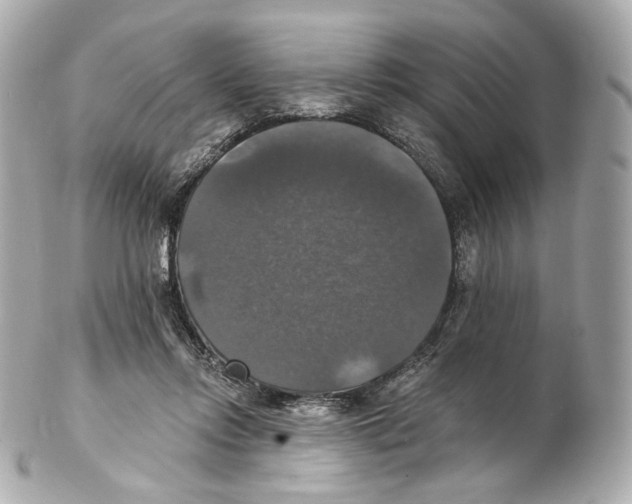 X0000102410358200808291513