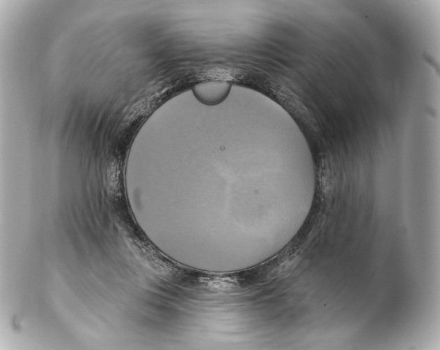 X0000102410359200808291513