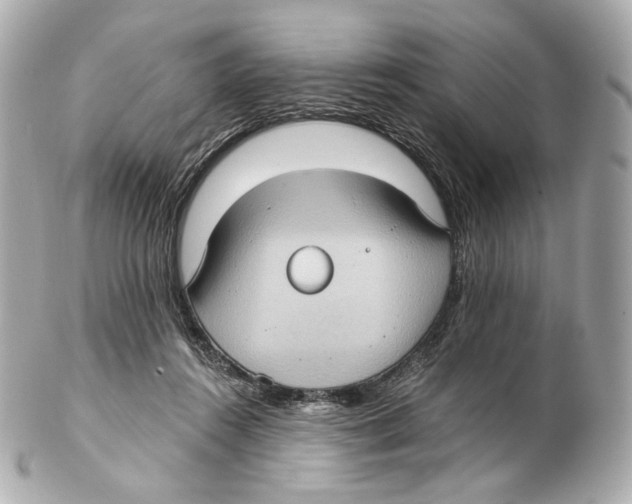 X0000102410360200808291513