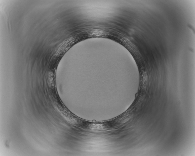 X0000102410361200808291513