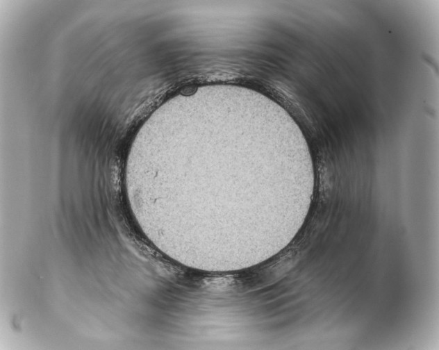 X0000102410362200808291513