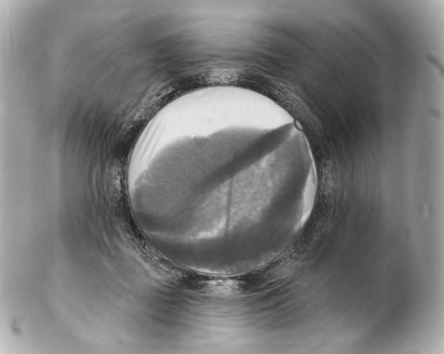 X0000102410363200808291513