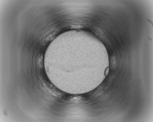 X0000102410364200808291513