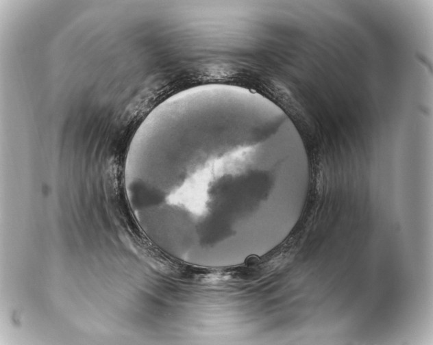 X0000102410366200808291513