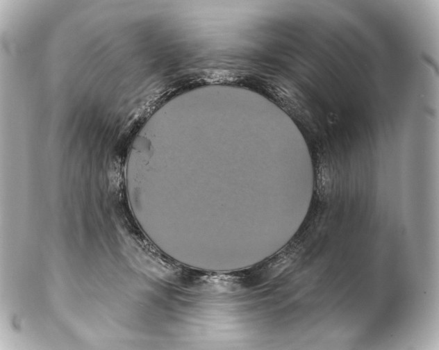 X0000102410367200808291513