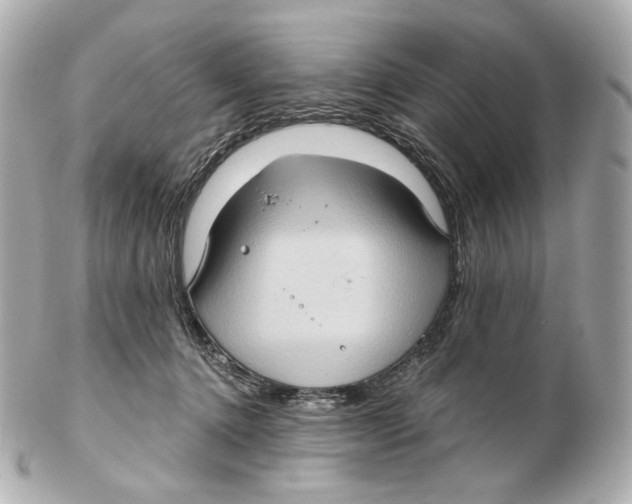 X0000102410368200808291513