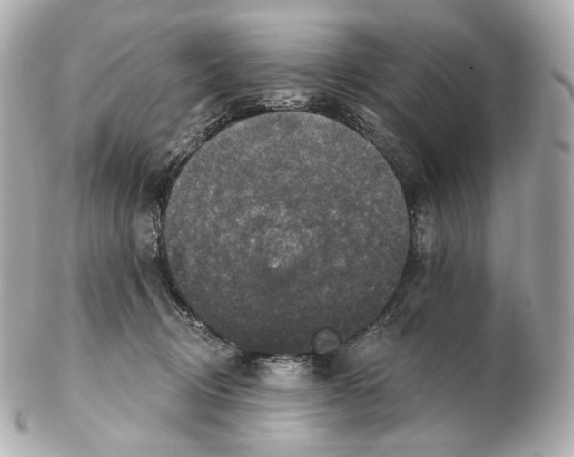 X0000102410370200808291513