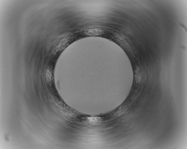 X0000102410371200808291513