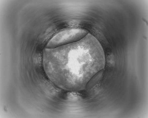 X0000102410372200808291513