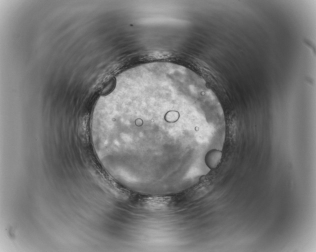 X0000102410373200808291513