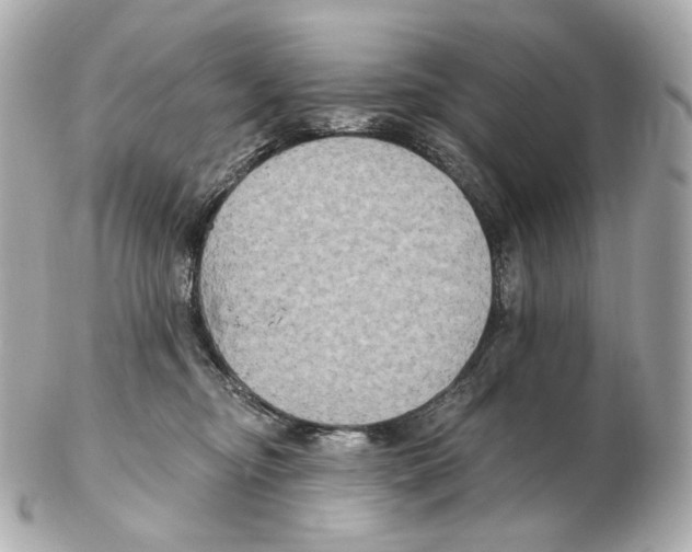 X0000102410374200808291513