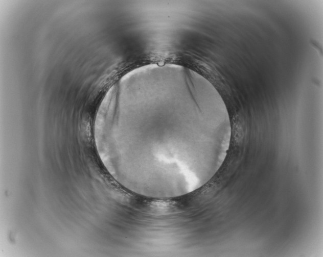 X0000102410375200808291513