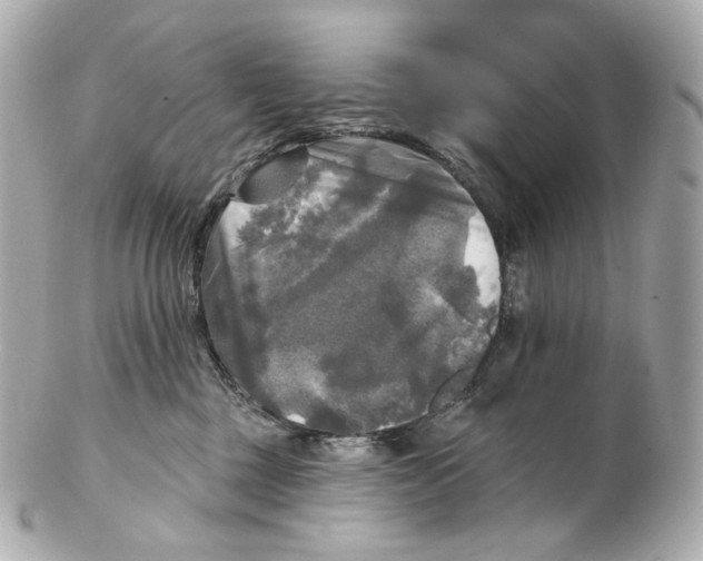 X0000102410377200808291513