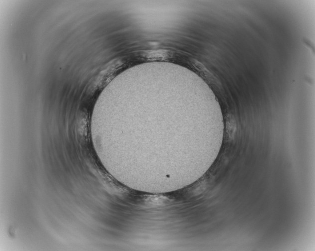 X0000102410379200808291513