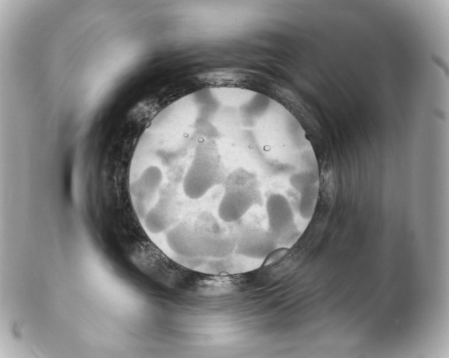 X0000102410381200808291513