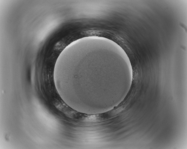 X0000102410382200808291513