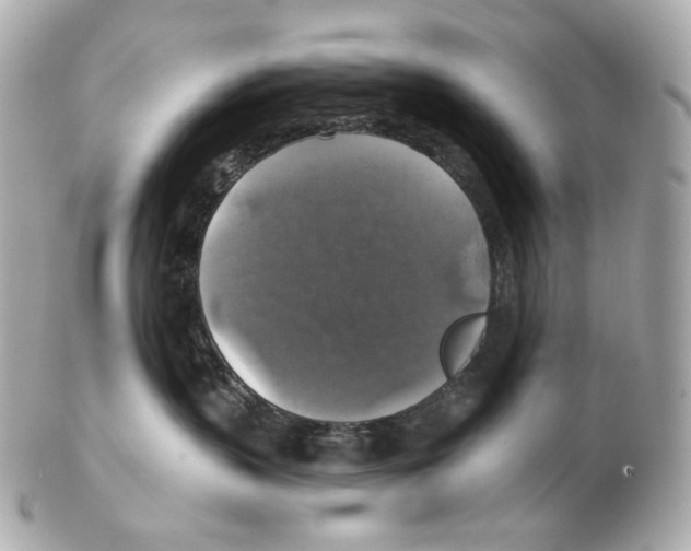 X0000102410383200808291513