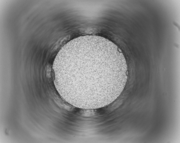 X0000102410384200808291513