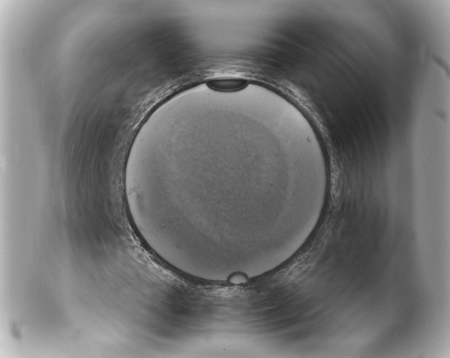 X0000102410385200808291512