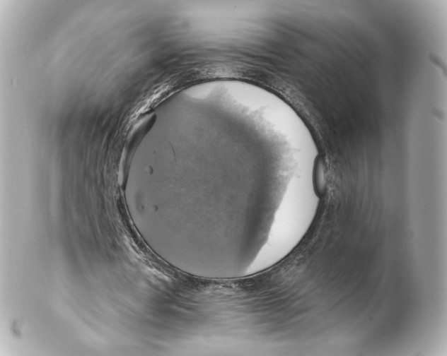 X0000102410386200808291512