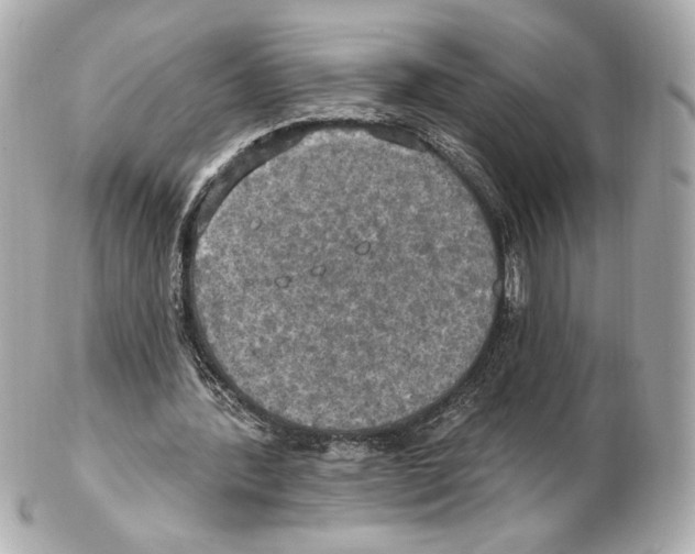 X0000102410388200808291512