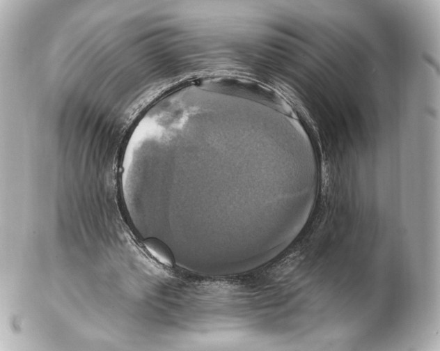 X0000102410389200808291512