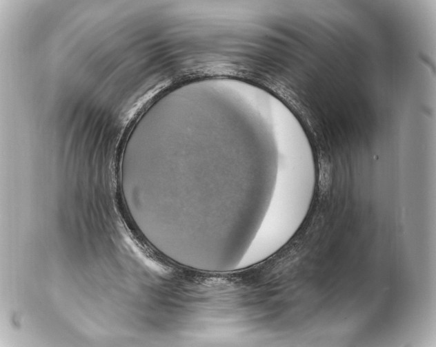 X0000102410390200808291512