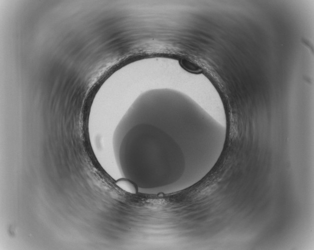 X0000102410391200808291512