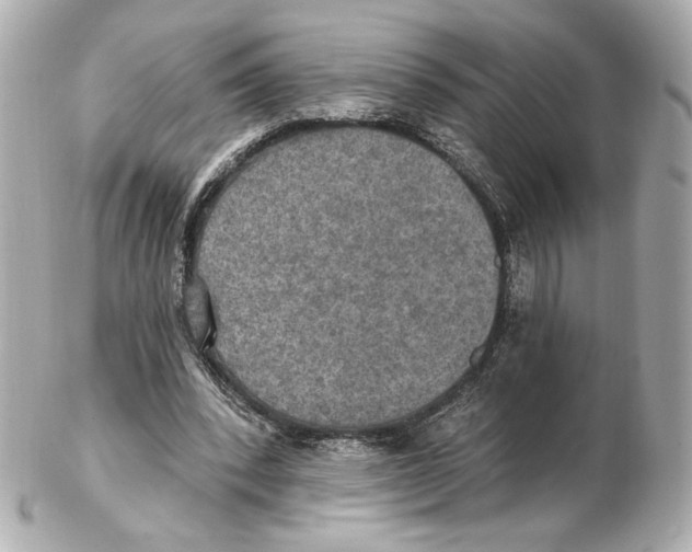 X0000102410392200808291512