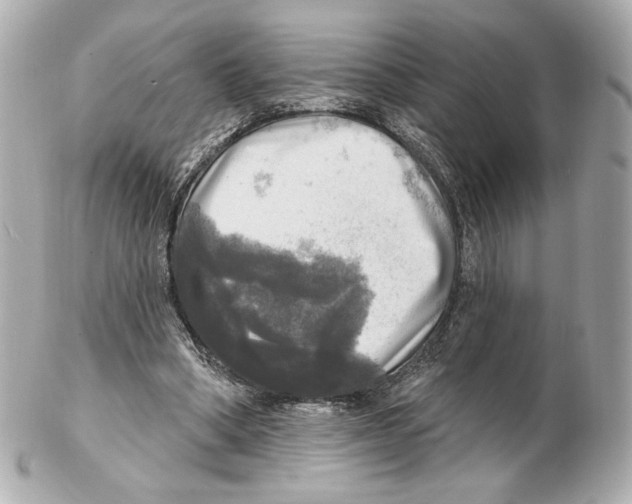 X0000102410394200808291512