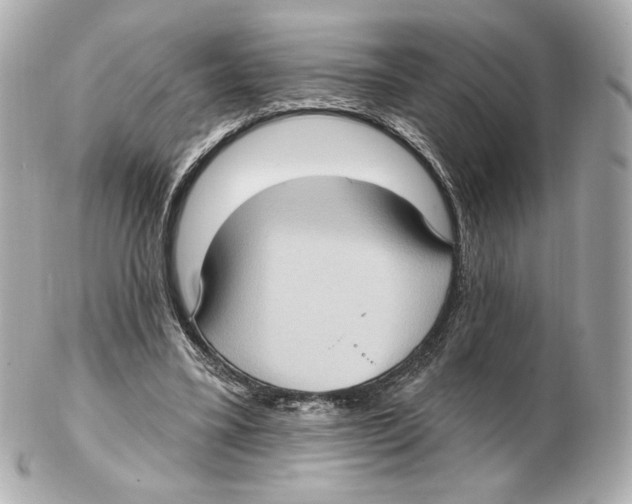 X0000102410395200808291512