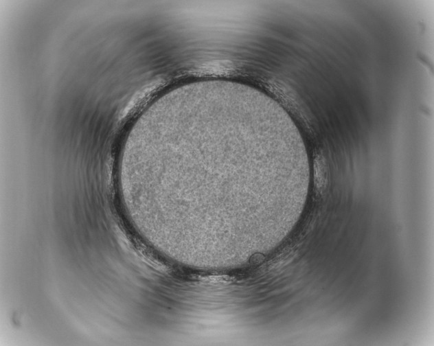 X0000102410396200808291512