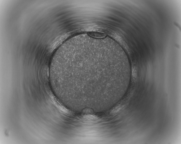 X0000102410397200808291512