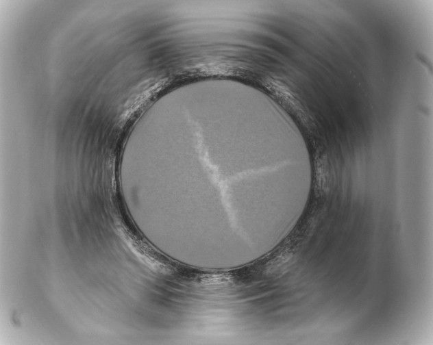 X0000102410398200808291512