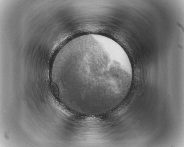 X0000102410399200808291512