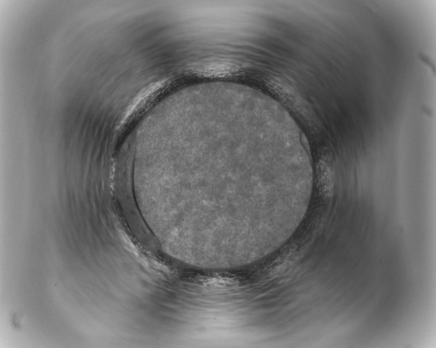 X0000102410400200808291512