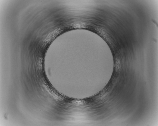 X0000102410402200808291512