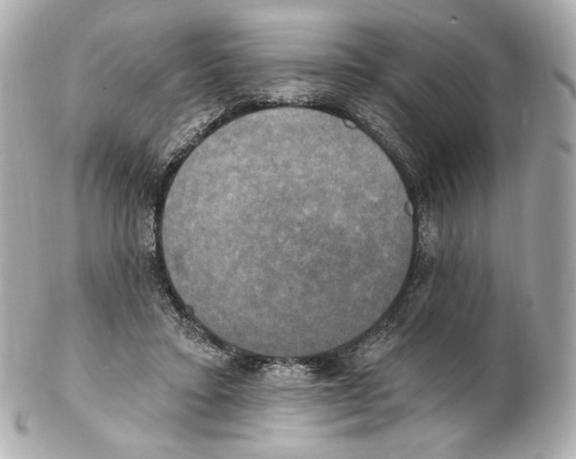 X0000102410403200808291512