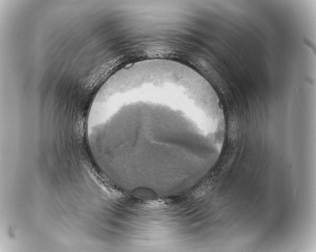 X0000102410405200808291512