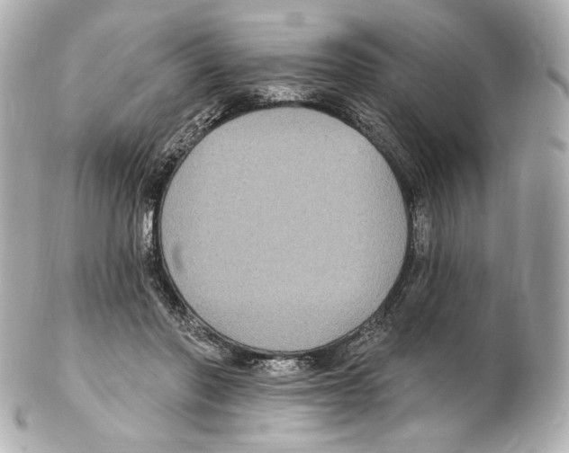 X0000102410406200808291512