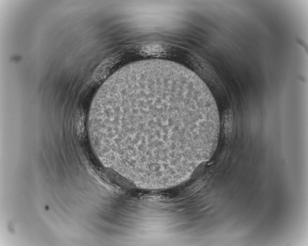 X0000102410408200808291512