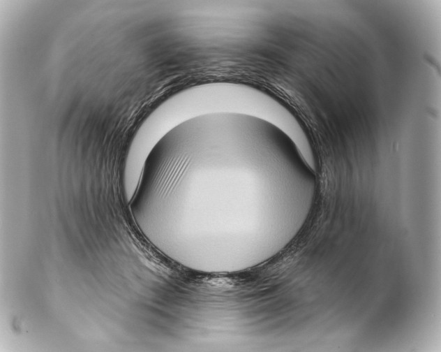 X0000102410409200808291512